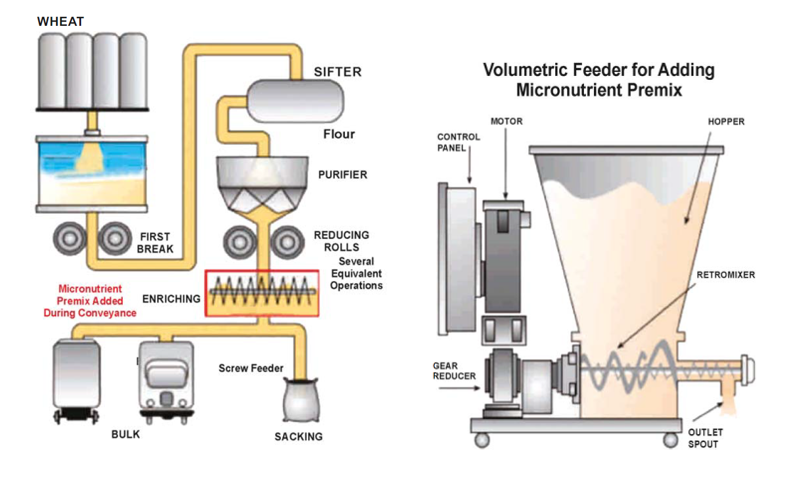 Wheat Flour Fortification